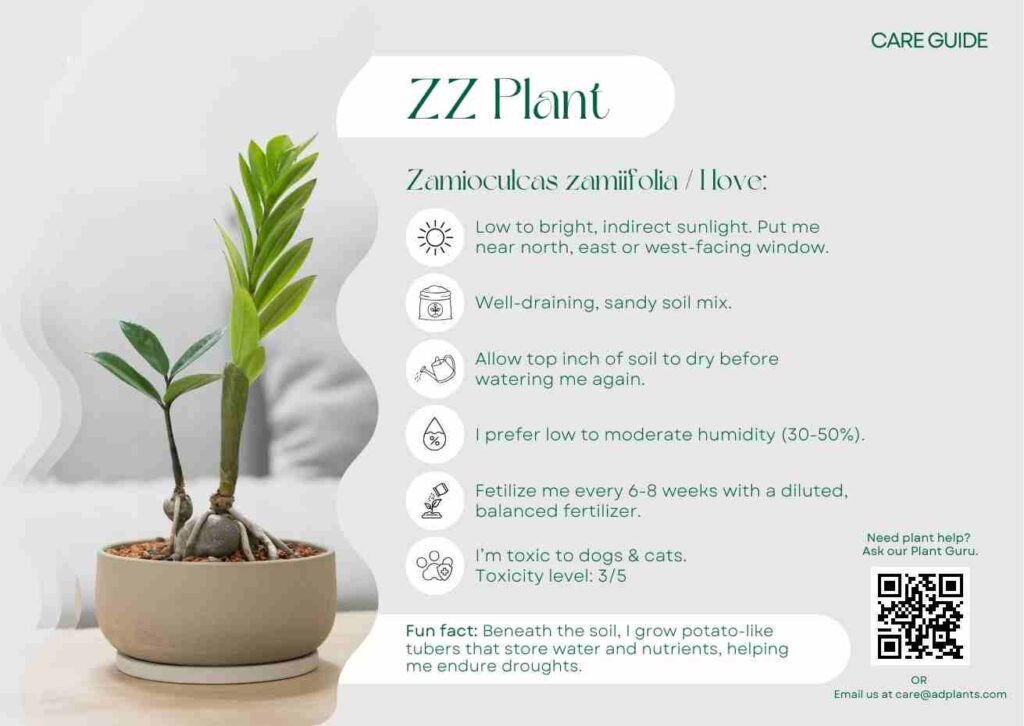 Plant Care