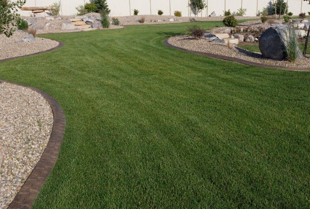 Dubai Landscaping Companies - Adplants.com